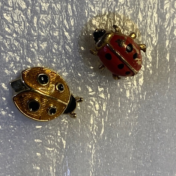 Jewelry - Little Bug set of Two  Lapel Pin